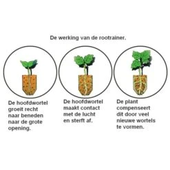 Kweektray Deep Roots - 32 Cellen -GroenLeven kweektray deep roots 32 cellen 1487680549 0 600