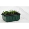 Kweektray Compact Rapid Root - 20 Cellen -GroenLeven kweektray rapid root 20 cellen 1487670094 0 600