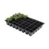 Kweektrays 40 Cellen - Professioneel - Set Van 5 Stuks -GroenLeven kweektrays 40 cellen professioneel 1497949475 1 600