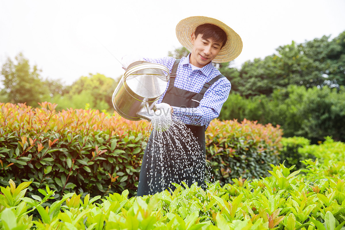 GroenLeven 11 GroenLeven -GroenLeven lovepik farm gardener watering the plants with bucket picture 501657331