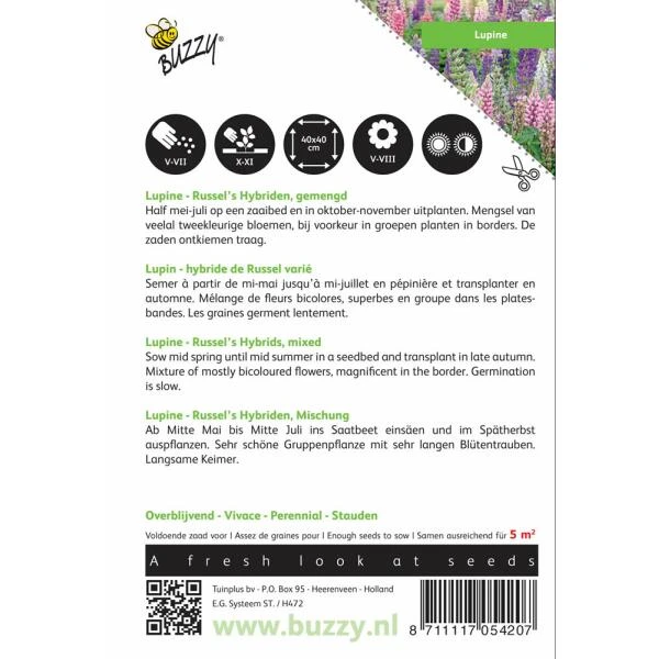 Lupinus Polyphyllus Russells Hybrids Mix 4 Lupinus Polyphyllus Russells Hybrids Mix - Afbeelding 2