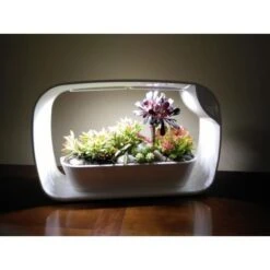 Mini Tuin Jardin Secret Met Ledverlichting En Bluetooth - Rechthoek -GroenLeven mini tuin jardin secret met bluetooth 1602061938 2 600