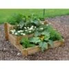 Moestuin Trapvorm 100 × 100 × 40 Cm -GroenLeven moestuintrap 100 x 100 x 40 cm 1556661692 1 600