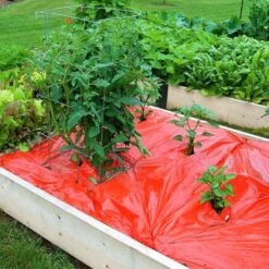 Rode Folie Voor Een Betere Plantengroei -GroenLeven mulchfolie 1577621986 1 600