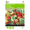 Oost-Indische Kers Jewel Of Africa - Tropaeolum Majus -GroenLeven oostindische kers jewel of africa tropaeolum majus 1646840323 263 600