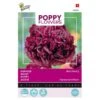 Papaver Black Paeony 2 Papaver Black Paeony -GroenLeven papaver black paeony 1646840389 1612 600