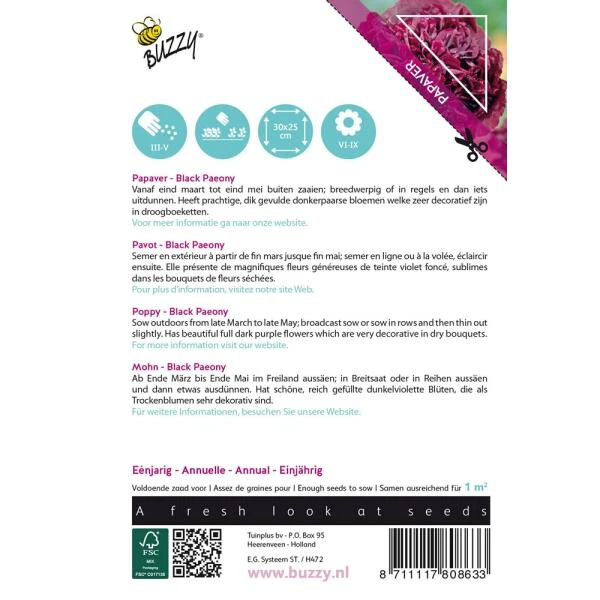 Papaver Black Paeony 4 Papaver Black Paeony - Afbeelding 2