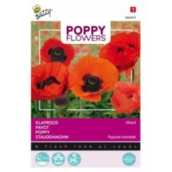 Papaver Oriëntaalse (Poppies)