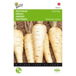 Pastinaak Demi-Long De Guernsey