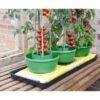 Plant- En Gietpot Groen - Set Van 3 Stuks -GroenLeven plant en gietpot 1484054799 1 600
