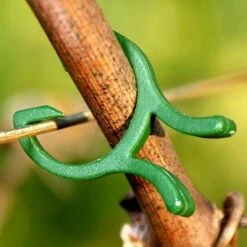 Plantenclips Kunststof - Set Van 50 Stuks 5 Plantenclips Kunststof - Set Van 50 Stuks -GroenLeven planteclips 1484056028 1 600