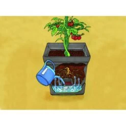 Plantentoren Maxitom Met Waterreservoir - Antraciet 10 Plantentoren Maxitom Met Waterreservoir - Antraciet -GroenLeven plantentoren maxitom antraciet 1677571235 3 600