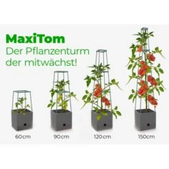 Plantentoren Maxitom Met Waterreservoir - Antraciet 11 Plantentoren Maxitom Met Waterreservoir - Antraciet -GroenLeven plantentoren maxitom antraciet 1677571236 4 600