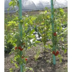Plantensteun Voor Tomaten Met Waterreserve - 150 Cm -GroenLeven plantsteun voor tomaten met waterreserve 1m50 1602162237 2 600