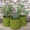 Plantzakken 10 Liter Vigoroot - Set Van 3 Stuks -GroenLeven plantzakken 10 liter vigoroot 1487757117 0 600
