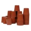 Kweekpotjes Rond Kunststof - 6 Cm - Set Van 40 Stuks -GroenLeven plastic potjes 6 cm 1484055450 1 600