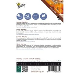 Pompoen Kalebas Baby Bear 5 Pompoen Kalebas Baby Bear -GroenLeven pompoen kalebas baby bear 1646840338 590 600