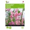 Reukerwt Royal Family Roze - Lathyrus Odoratus -GroenLeven reukerwt royal family roze lathyrus odoratus 1646840329 389 600