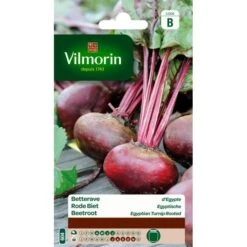 Rode Biet Egyptische