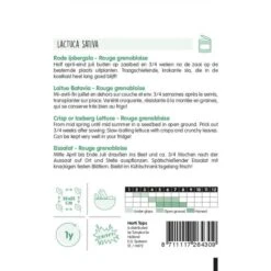 Rode Ijsbergsla, Rouge Grenobloise - Lactuca Sativa -GroenLeven rode ijsbergsla lactuca sativa 1646840355 939 600