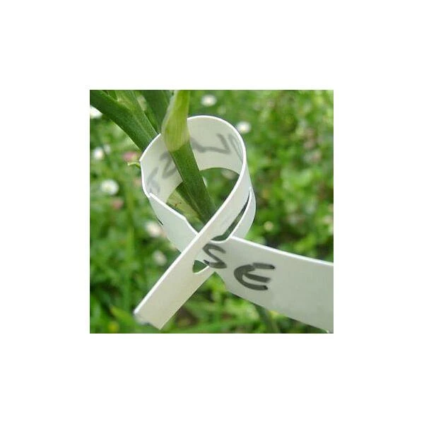 Sleufetiketten Wit - Set Van 100 Stuks 4 Sleufetiketten Wit - Set Van 100 Stuks - Afbeelding 2