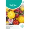 Strobloem Mix - Helichrisum Bracteatum 2 Strobloem Mix - Helichrisum Bracteatum -GroenLeven strobloem mix helichrisum bracteatum 1646840362 1092 600