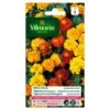 Tagetes Dubbel Dwerg Gemengd - Tagetes Patula -GroenLeven tagetes dubbel dwerg gemengd tagetes patula 1646839548 245 600