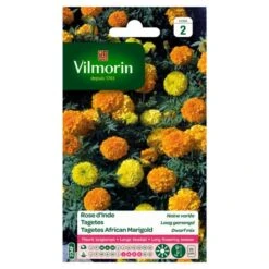 Tagetes Dwerg Gemengd