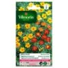 Tagetes Miniature Gemengd - Tagetes Patula -GroenLeven tagetes miniature gemengd tagetes patula 1646839524 96 600