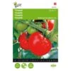 Tomaten Pyros F1 - Lycopersicon Esculentum -GroenLeven tomaten pyros f1 lycopersicon esculentum 1646840321 229 600
