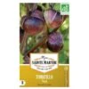 Tomatillo Violet - Physalis Ixocarpa -GroenLeven tomatillo violet 1484067107 1 600