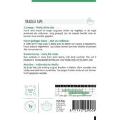 Tuinraap Platte Witte Mei - Brassica Rapa -GroenLeven tuinraap platte witte mei brassica rapa 1646840354 923 600