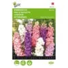 Valse Ridderspoor - Delphinium Ajacis -GroenLeven valse ridderspoor delphinium ajacis 1646840326 343 600
