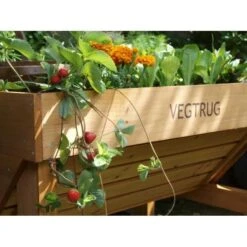 Vegtrug Verhoogde Kweektafel - 1 × 0,8 × 0,8 M -GroenLeven vegtrug 1 m 1484054491 4 600