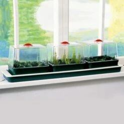 Vensterbankkas Propagator 3-delig Elektrisch 6 Vensterbankkas Propagator 3-delig Elektrisch -GroenLeven vensterbankkas elektrisch 3 kasjes 1484053126 1 600