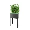 Verhoogd Kweekbak City Jungle Heidelberg Met Klimframe -GroenLeven verhoogd plantenbed city jungle heidelberg 1677506551 1 600