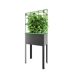 Verhoogd Kweekbak City Jungle Heidelberg Met Klimframe