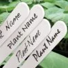 Waterbestendige Stift Zwart Voor Plantenlabels 1 Waterbestendige Stift Zwart Voor Plantenlabels -GroenLeven waterbestendige stift zwart 1484062288 2 600