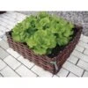 Wilgentenen Plantenbed - 60 × 60 × 20 Cm -GroenLeven wilgentenen plantenbed large 1484056225 1 600