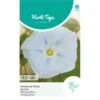 Winde Milkyway - Ipomoea Tricolor -GroenLeven winde milkyway ipomoea tricolor 1646840362 1106 600