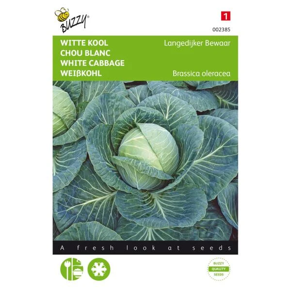 Witte Kool Langedijker Bewaar - Brassica Oleracea 3 Witte Kool Langedijker Bewaar - Brassica Oleracea