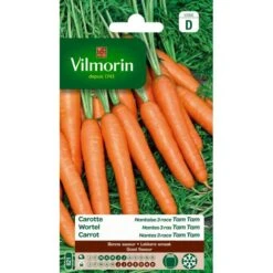 Wortel Verbeterde Nantes 3 Ras Tam Tam - Daucus Carota