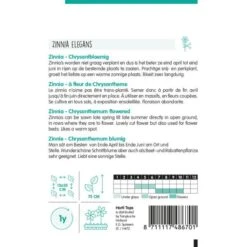 Zinnia Chrysantbloemig - Zinnia Elegans -GroenLeven zinnia chrysantbloemig zinnia elegans 1646840365 1161 600