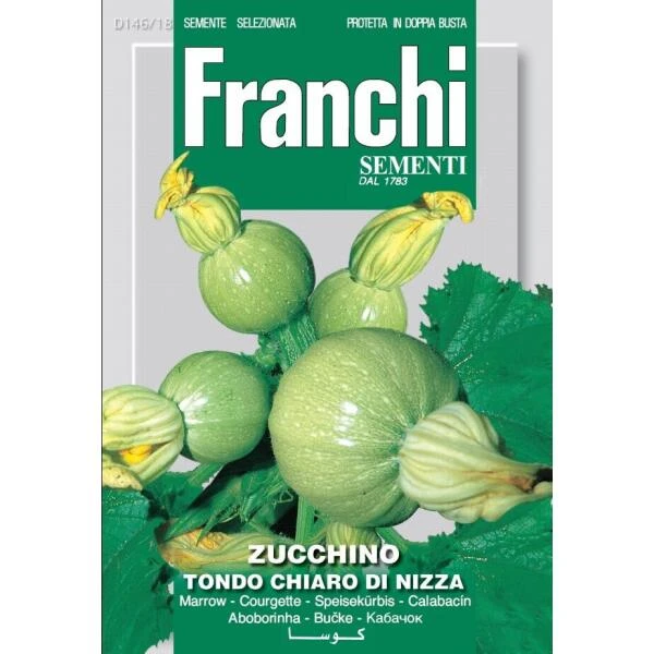 Zucchino Tondo Chiaro Di Nizza - Courgette De Nice Rond