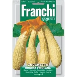 Zuchetta Rugosa Friulana - Gele Kalebas